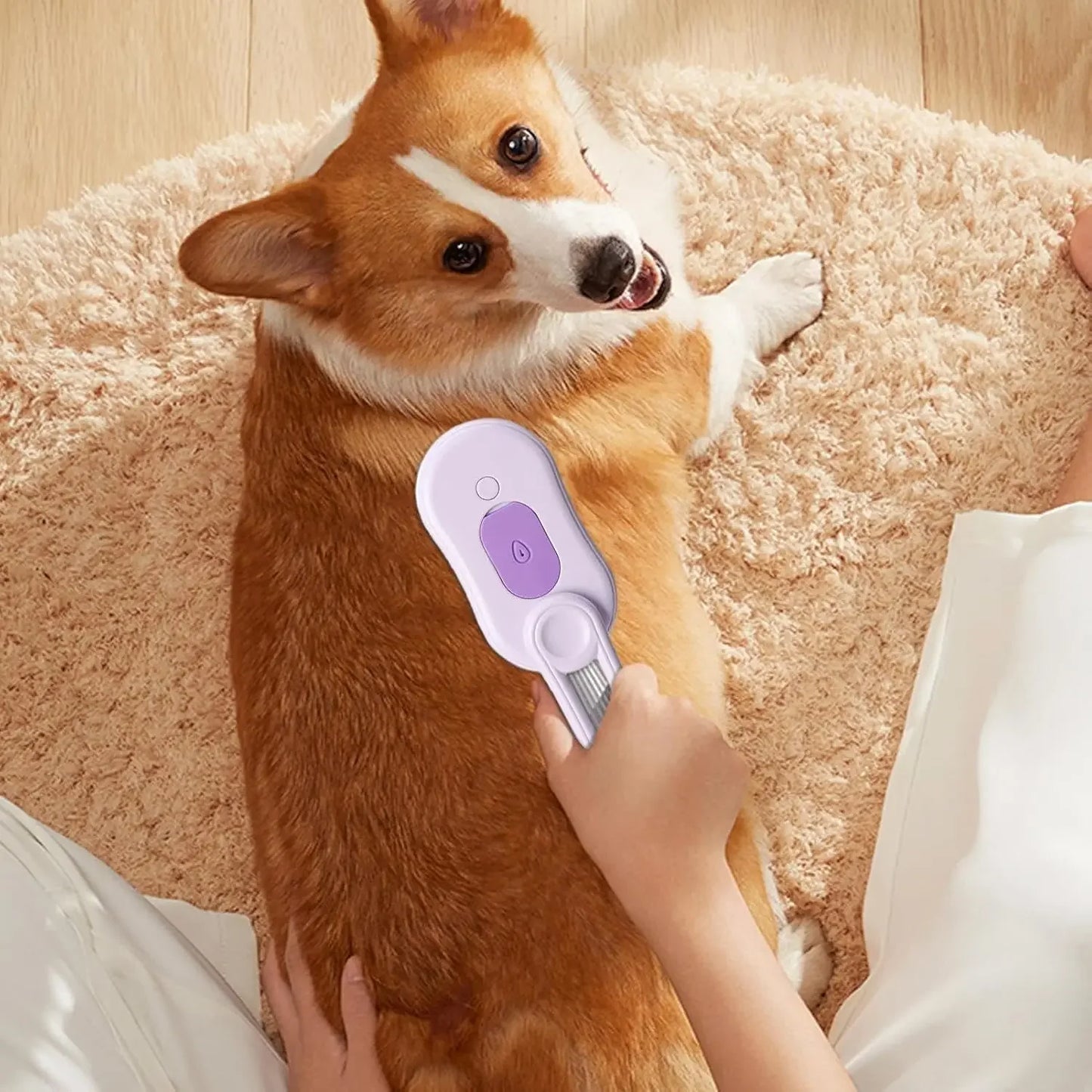 Electric Cat Steam Brush – 3 in 1 Pet Hair Remover, Grooming & Massage Brush for Cats & Dogs with Spray Function