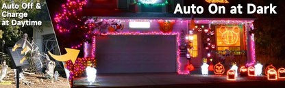 Solar Purple & Orange Halloween Lights