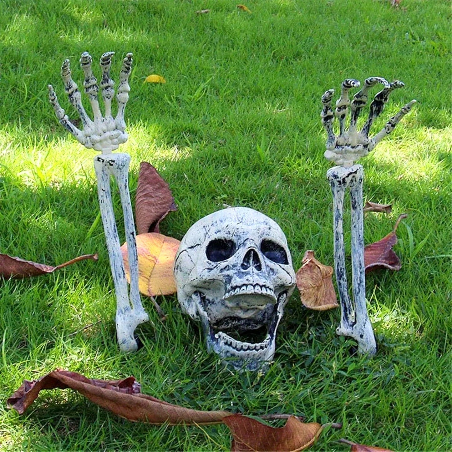 Halloween Skeleton Lawn Decoration – Skull & Arm Stakes Set