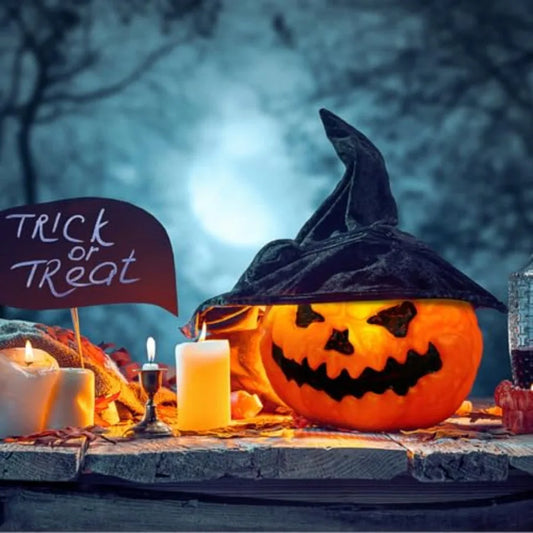 Halloween LED Pumpkin Decoration – 6.6 Inch Light Up Plastic Jack-O’-Lantern