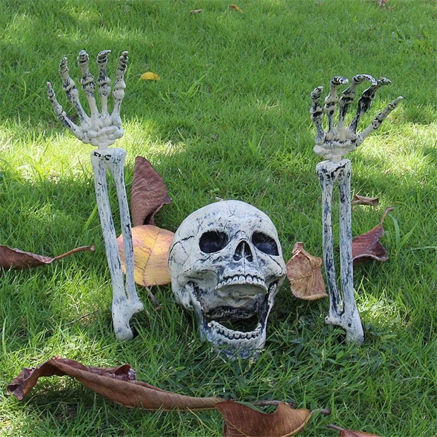 Halloween Skeleton Lawn Decoration – Skull & Arm Stakes Set